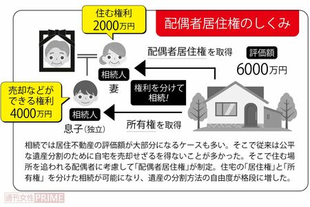 配偶者居住権のしくみをわかりやすく図解