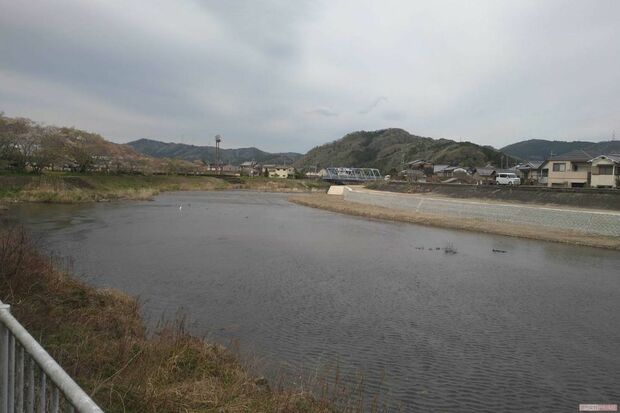 園部小学校近くには大きな川が流れる
