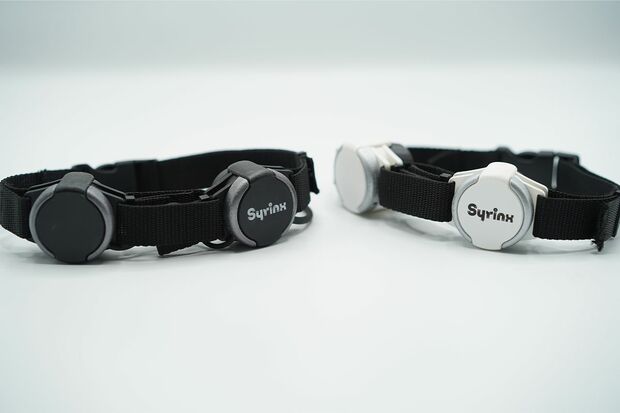 竹内さんらが研究しているハンズフリー電動式の人工喉頭機器（竹内さん提供）