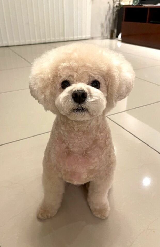 福くん、順調に回復中です!　撮影／加藤綾菜