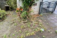 親の孤独死で「遺品片付け」「残されたペット」問題、生きてるうちにやるべき4つの備え