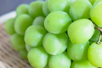 あなたは大丈夫？　ふるさと納税で「損する人」「得する人」の見分け方とプロが本当におすすめする返礼品“…