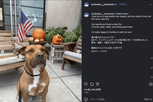 世界がベタ惚れしているドジャース・山本由伸の愛犬カルロス（公式インスラグラムより）