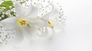 写真はイメージです