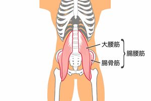 《MEMO》腸腰筋をほぐすことで、腰椎の神経をリラックスさせ、便通を促す。左右で硬いと感じるほうを長めにやるとよい