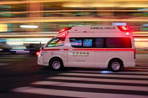 写真はイメージです