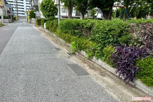 昼間は子どもたちがブランコなどで遊ぶ公園のそばで事件は起こった