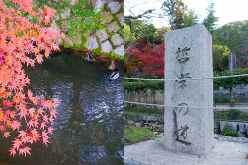 (c)京都市メディア支援センター