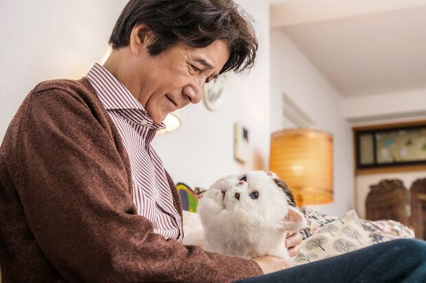 『おじさまと猫』毎週水曜深夜0時58分〜放送中（テレビ東京ほか）（C）「おじさまと猫」製作委員会