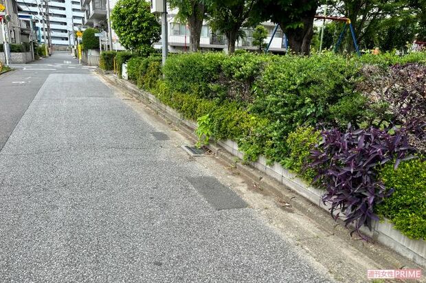 昼間は子どもたちがブランコなどで遊ぶ公園のそばで事件は起こった