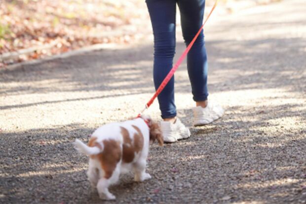 ※写真はイメージです