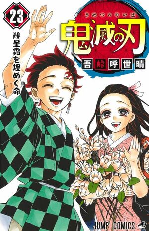 迫力ある戦闘シーンや個性的なキャラクターが実写化不可能といわれている（『鬼滅の刃』第23巻 楽天ブックスHPより）