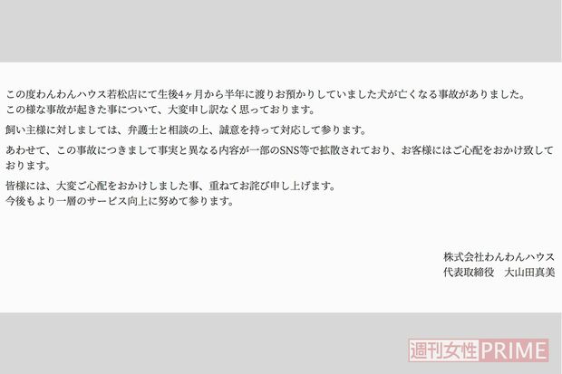 わんわんハウス若松店のホームページ