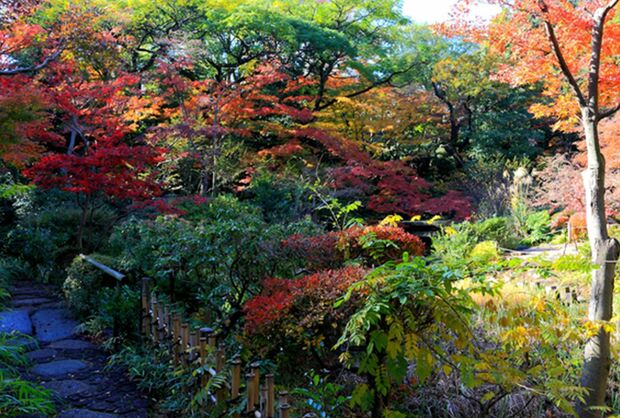 根津美術館の庭園は、秋になると色づき多くの人出が