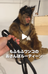 犬の姿になるオダギリジョー（公式インスタグラムより）
