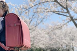 入学式には桜の花のトンネルを抜けて─という光景も見られなくなるのかも……