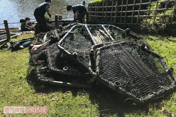 池底から引き揚げた障害物はこんなに
