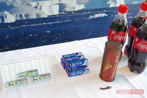 南極で発見された、初代パッケージの『ロッテ クールミントガム』とコカ・コーラ