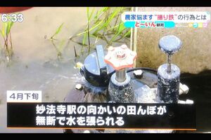 理想の構図で写真を撮ろうと田んぼに勝手に水を張る暴挙も（新潟放送・ゆうなびより）