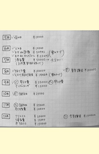 くぅちゃんの年間特別費リスト