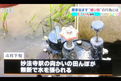 理想の構図で写真を撮ろうと田んぼに勝手に水を張る暴挙も(新潟放送・ゆうなびより)