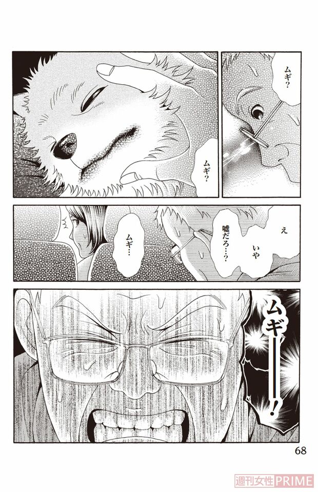 『ペット共生型マンション物語　ハイツ祐天寺へようこそ』第3巻（漫画柏屋コッコ／原作小林のえ）