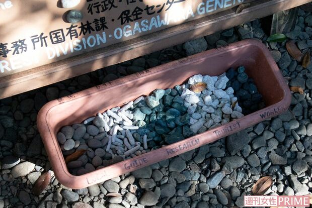 石やサンゴを容器にいれて来訪者数をカウントするなど自然に親しむ仕組みも考案