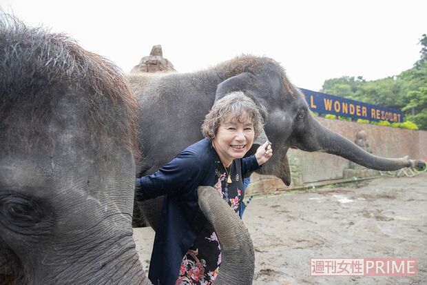 『市原ぞうの国』で生まれた子ゾウ、もも夏とら夢に囲まれ満面の笑み　撮影／北村史成