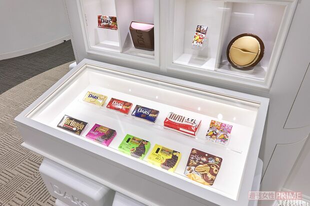 美術品のように、お菓子のパッケージが美しく展示されている