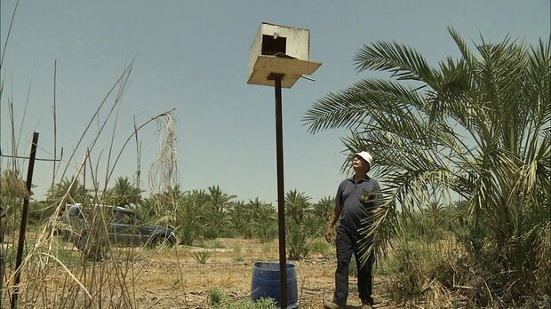 イスラエルでメンフクロウを取材　(c)NHK