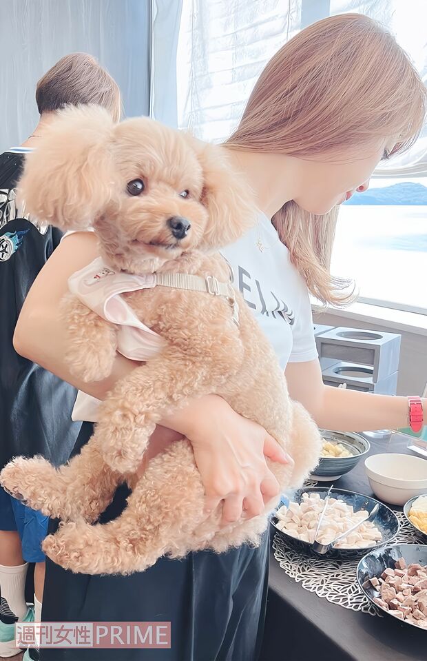 トイプードルを3匹飼っている美奈代さん。こちらは女の子のリルちゃん