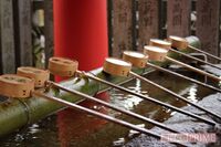 今さら聞けない！「神社・神宮・宮・大社」って何がどう違うの？社号でわかる“格式”