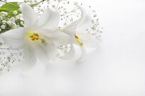 在宅看取り医が看取った「素直に死を受け入れて、安らかな気持ちで往く」女性のお話