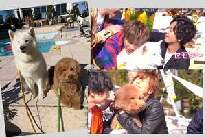 キスマイの『HUG&WALK』撮影時には、2匹に夢中だったメンバーたち