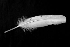 フリーハンドを得た今井翼の今後の動向が気になるところ（写真はイメージです）