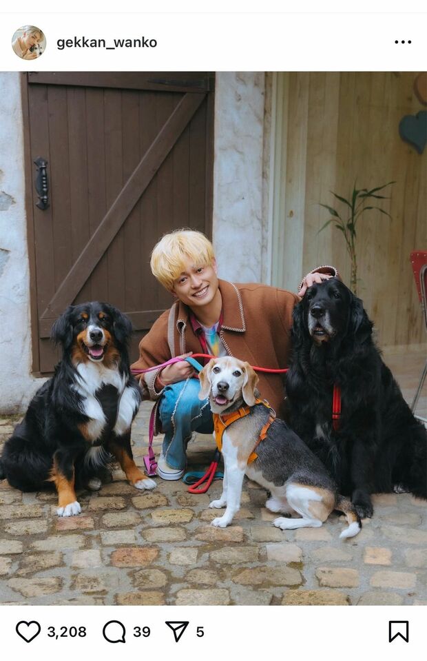 『A.B.C-Z』塚田僚一の心の支えは愛犬3匹(『月刊わんこ』公式インスタグラムより)