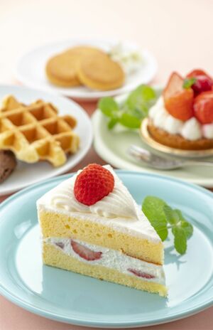 甘いものに多く含まれる糖類のとりすぎは、肌荒れなど各種のトラブルに。身体を構成するタンパク質と余分な糖が結びついてAGEs(エイジーズ・終末糖化産物)と呼ばれる老化物質をつくり出す※写真はイメージです