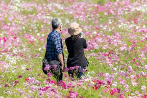 ※写真はイメージです