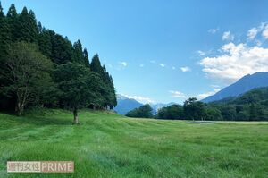 グリーンステージとなるはずだった場所は、草木が青々と茂っていた（'20年8月）
