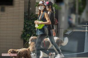 6月初旬、犬の散歩をさせている工藤静香とKoki,