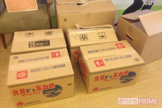 段ボールに入れられた40匹以上の猫たち（元ボランティア提供）