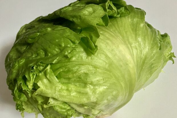 写真はイメージです