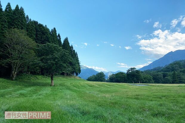 グリーンステージとなるはずだった場所は、草木が青々と茂っていた（'20年8月）
