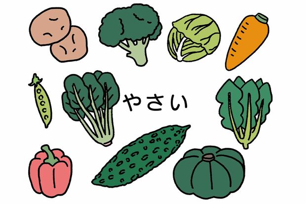 ※写真はイメージです