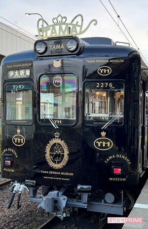 たま電車ミュージアム号　デザイン：水戸岡鋭治