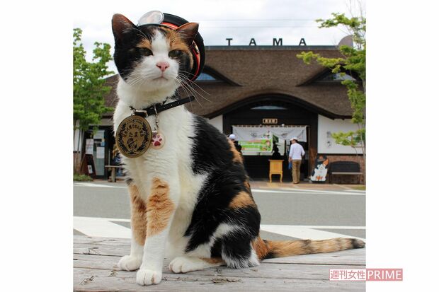 初代たま駅長