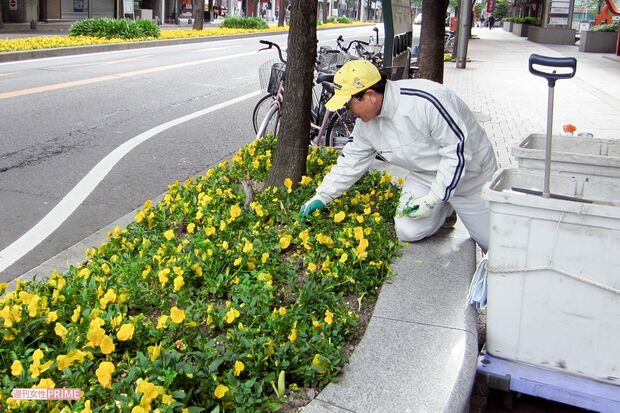 現在も、ホール前の通りを朝から2時間かけて掃除するのが日課