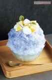 紫陽花/2300円 撮影/矢島泰輔