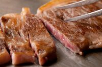 「いきなり!ステーキ」不振の陰で糖質制限にのめり込んだ上級“肉マイラー”が急逝していた