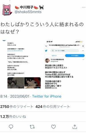 自身に届いた“殺害予告”ツイートを晒す中川翔子(公式Twitterより)